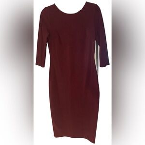 Elegant Burgundy Dress